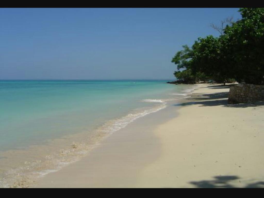 Shades Cottage Guesthouse Blue Hole Экстерьер фото
